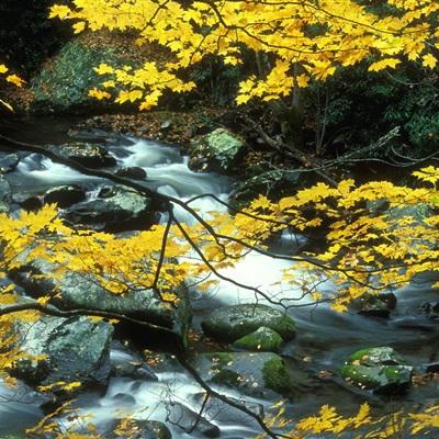 逆天问道手游下载
